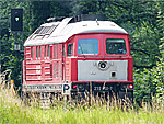 Foto: Arno Schorn