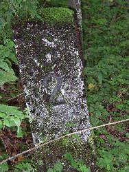 Kilometerstein der feuchten grünen Hölle