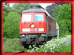 20.Mai 2005