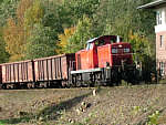 294 396 auf der Angertalbahn