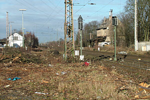 Lintorf freigeschnitten