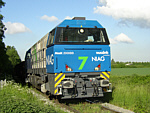 NIAG 7